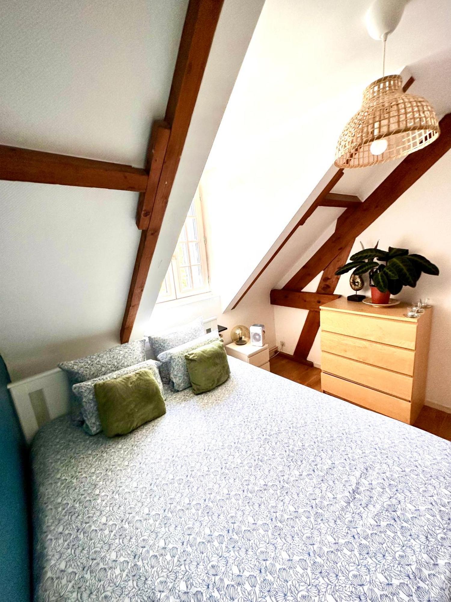 Family Oasis With 3 Bedrooms Near Paris Chennevières-sur-Marne エクステリア 写真